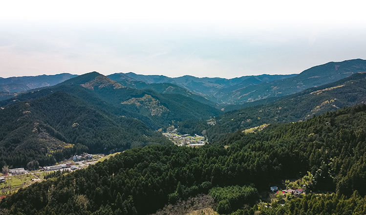 ときがわの山の風景画像